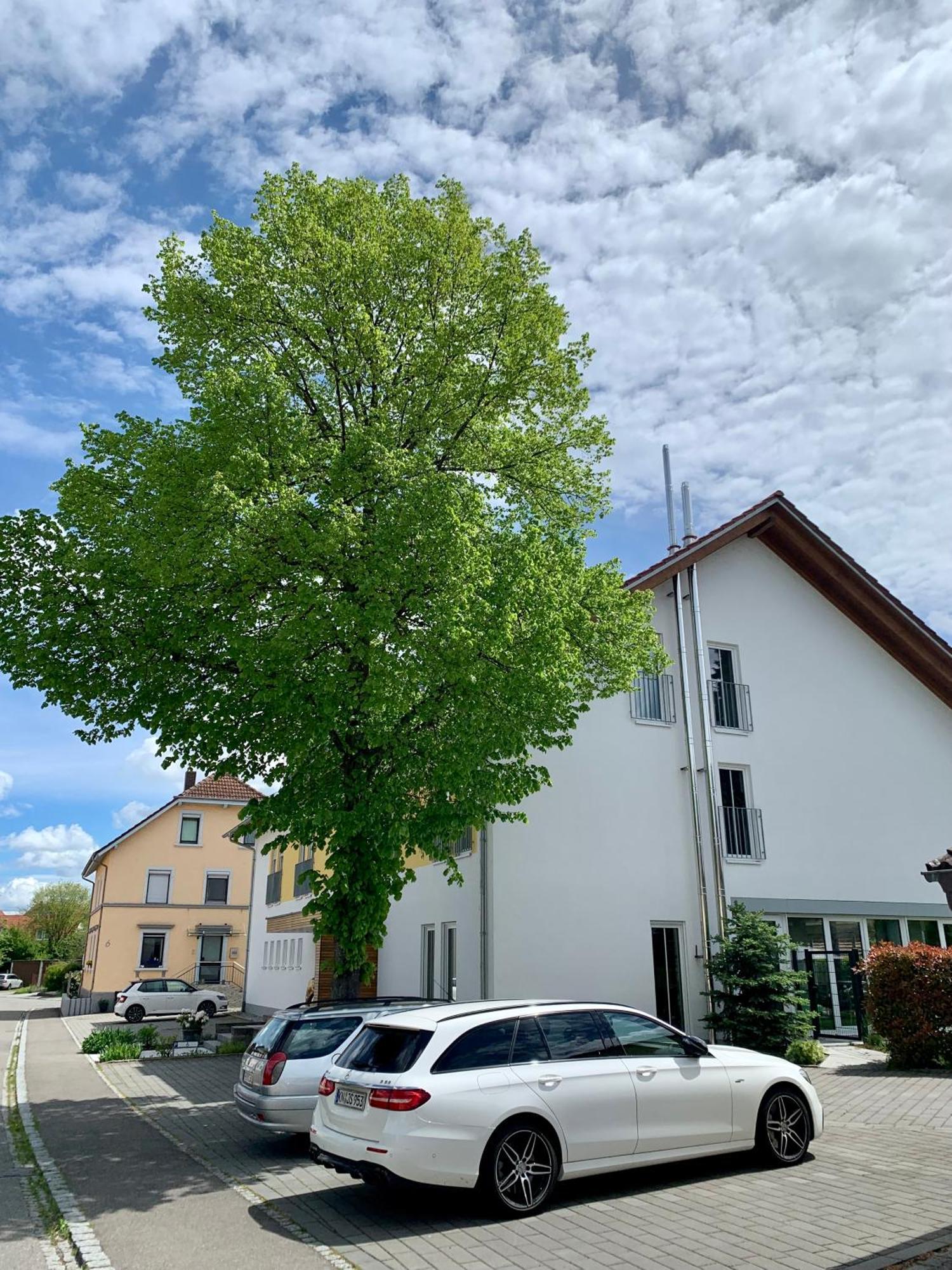Rielasingen-Worblingen Gaestehaus Gn8 מראה חיצוני תמונה